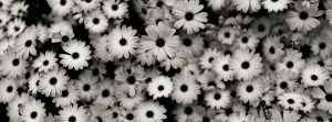 black-white-facebook-cover-2