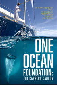 Ocean-Foundation