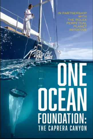 One Ocean Foundation